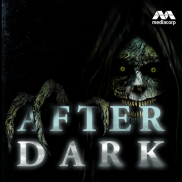 After Dark (Mediacorp)