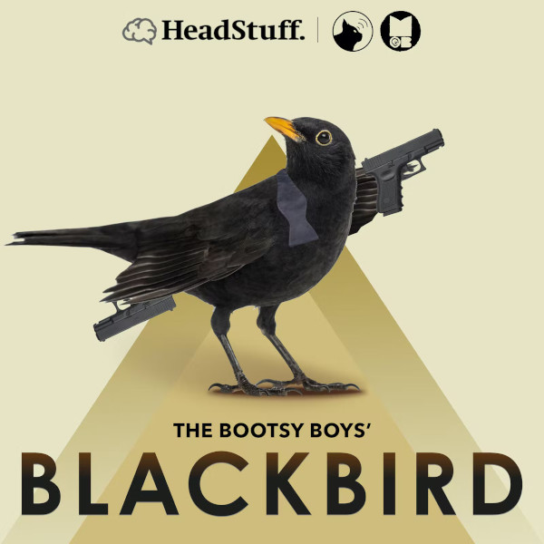 The Bootsy Boys’ Blackbird