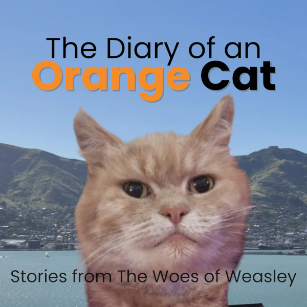 The Diary of an Orange Cat
