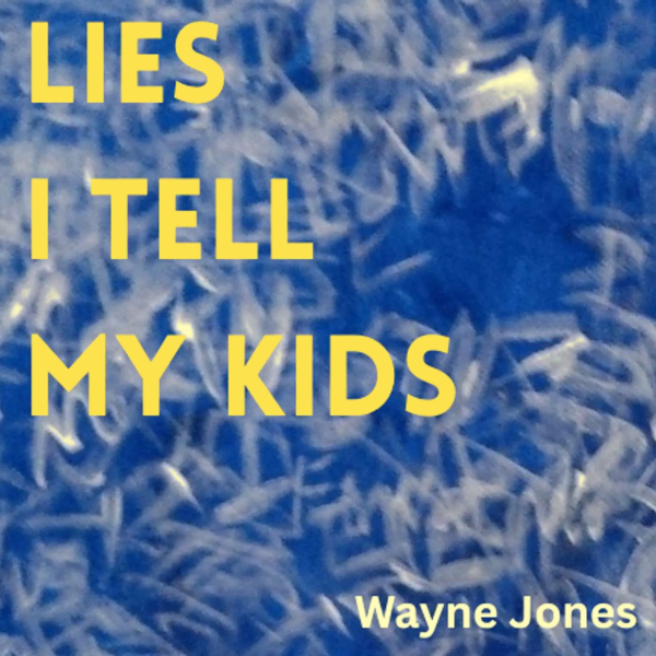 Lies I Tell My Kids