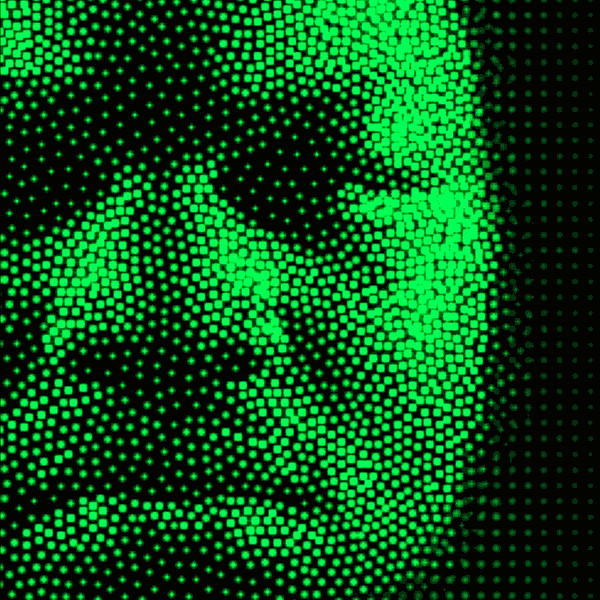 Looking Through the Light