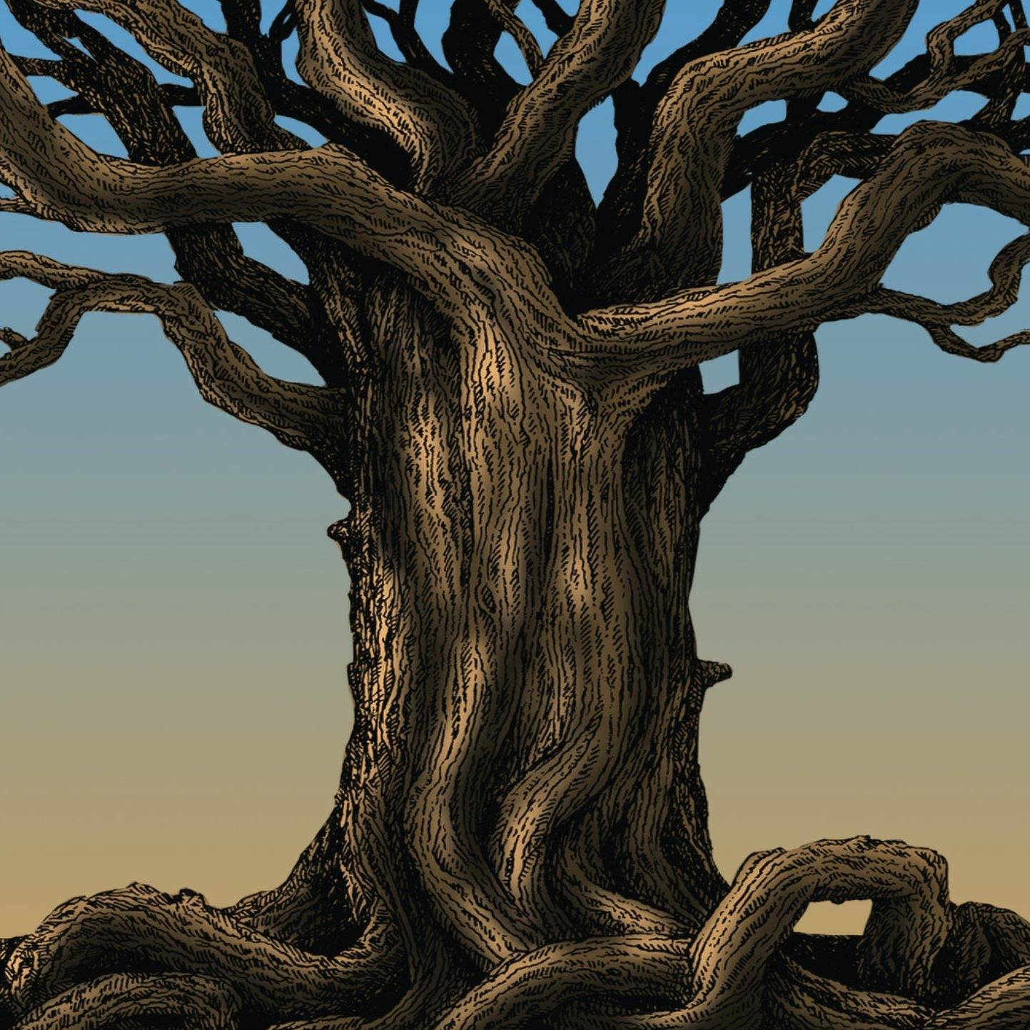 Protectors of the Wood