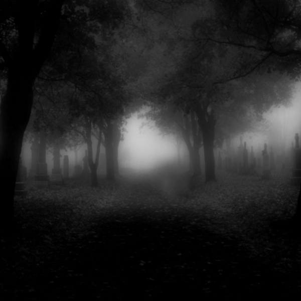 Short Stories (Calum Masterton)