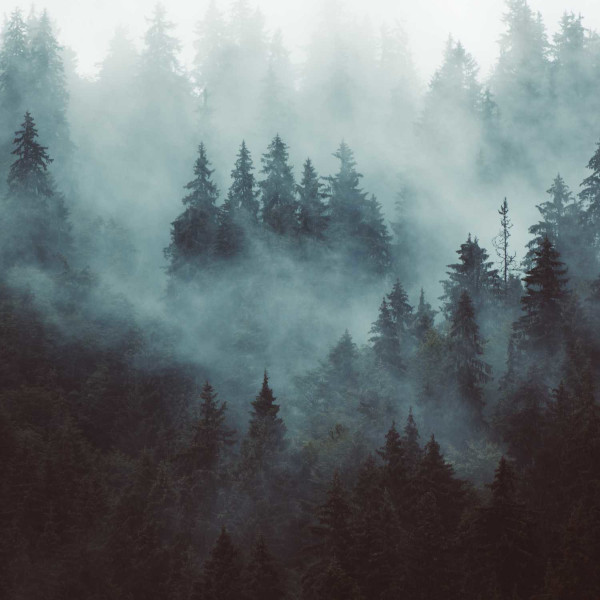 Sid Sylvan’s Audio Adventures