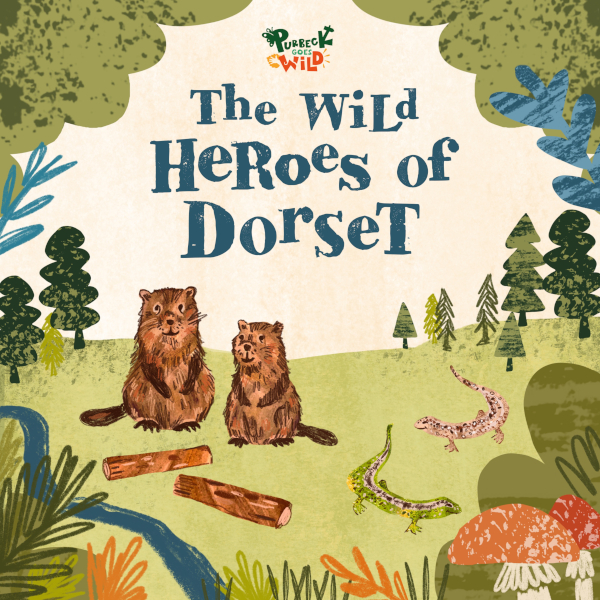 The Wild Heroes of Dorset