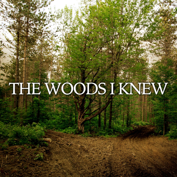 The Woods I Knew